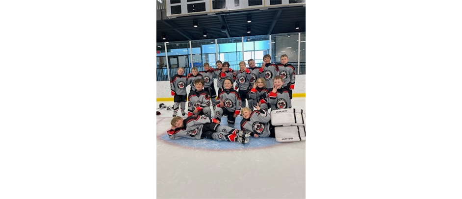 2016 Ice Bandits skate to 3rd Place in Minneapolis!